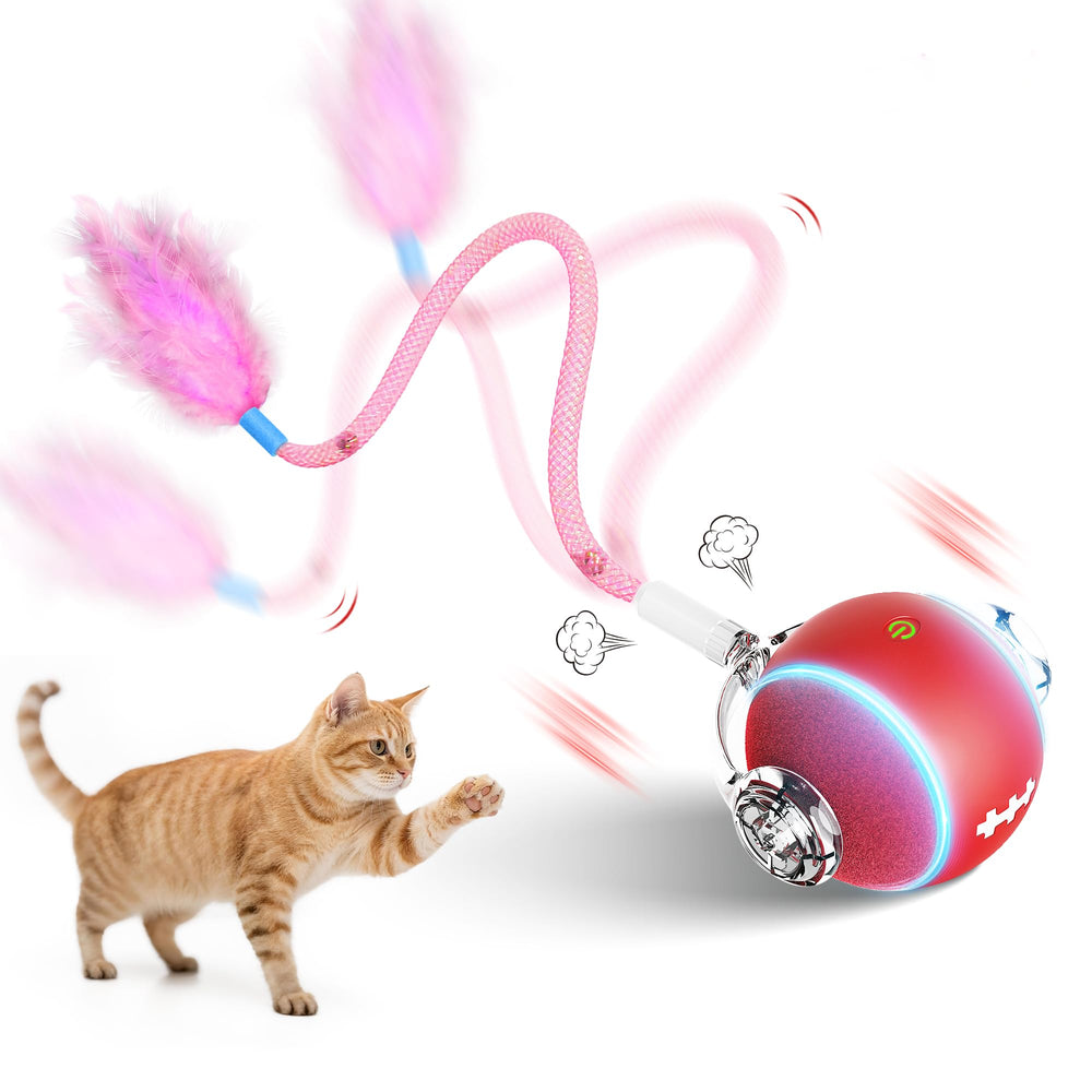 PANRIO Bola interactiva silenciosa para gatos en interiores estimula el juego diario