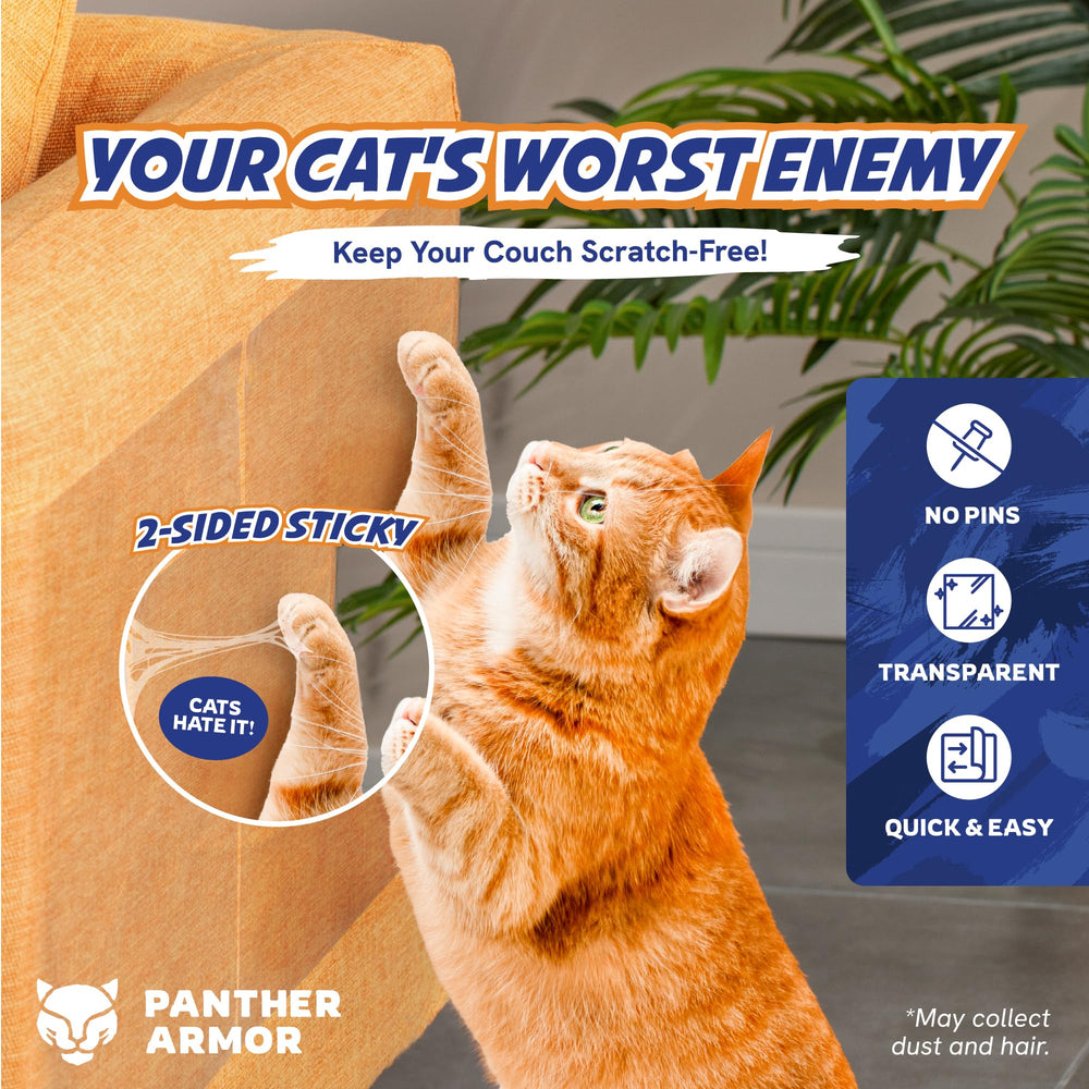Panther Armor, doble cara adhesiva, disuade arañazos y facilita entrenamiento.