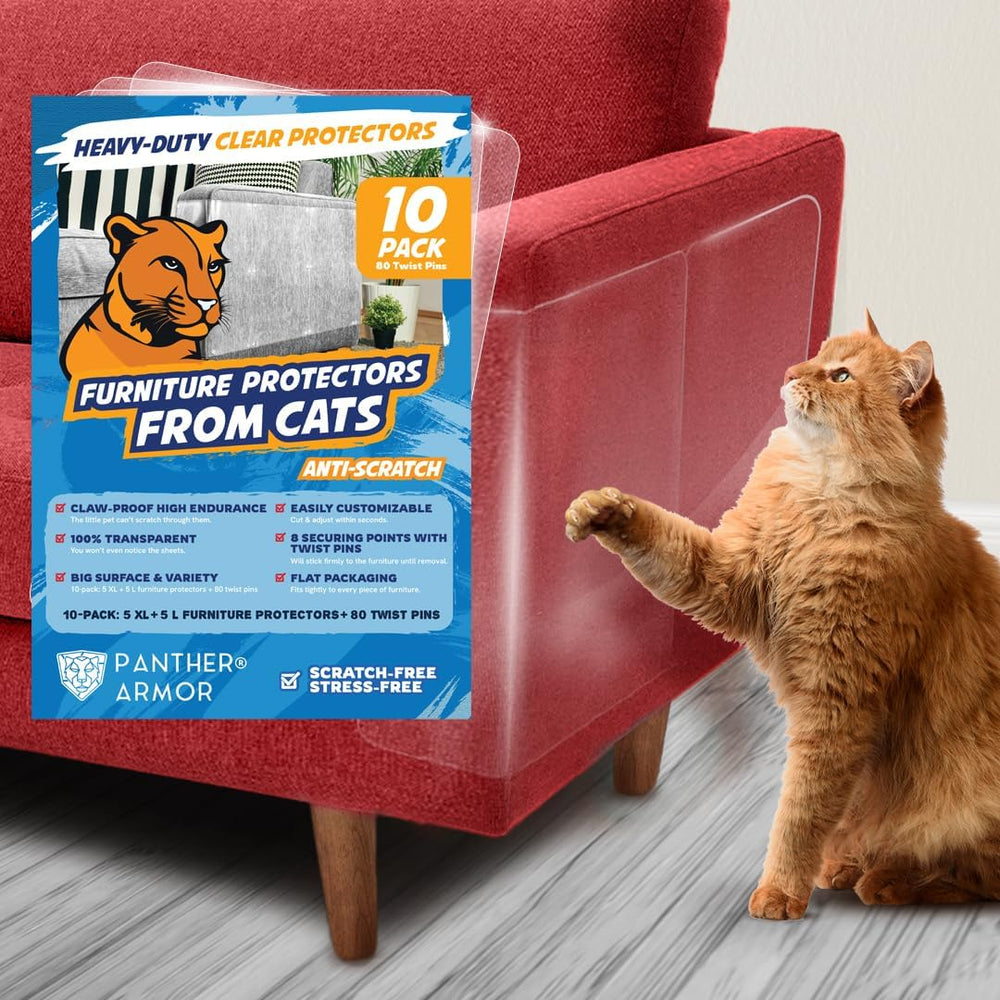 Protector de sofá transparente Panther Armor para evitar arañazos en tapizados.