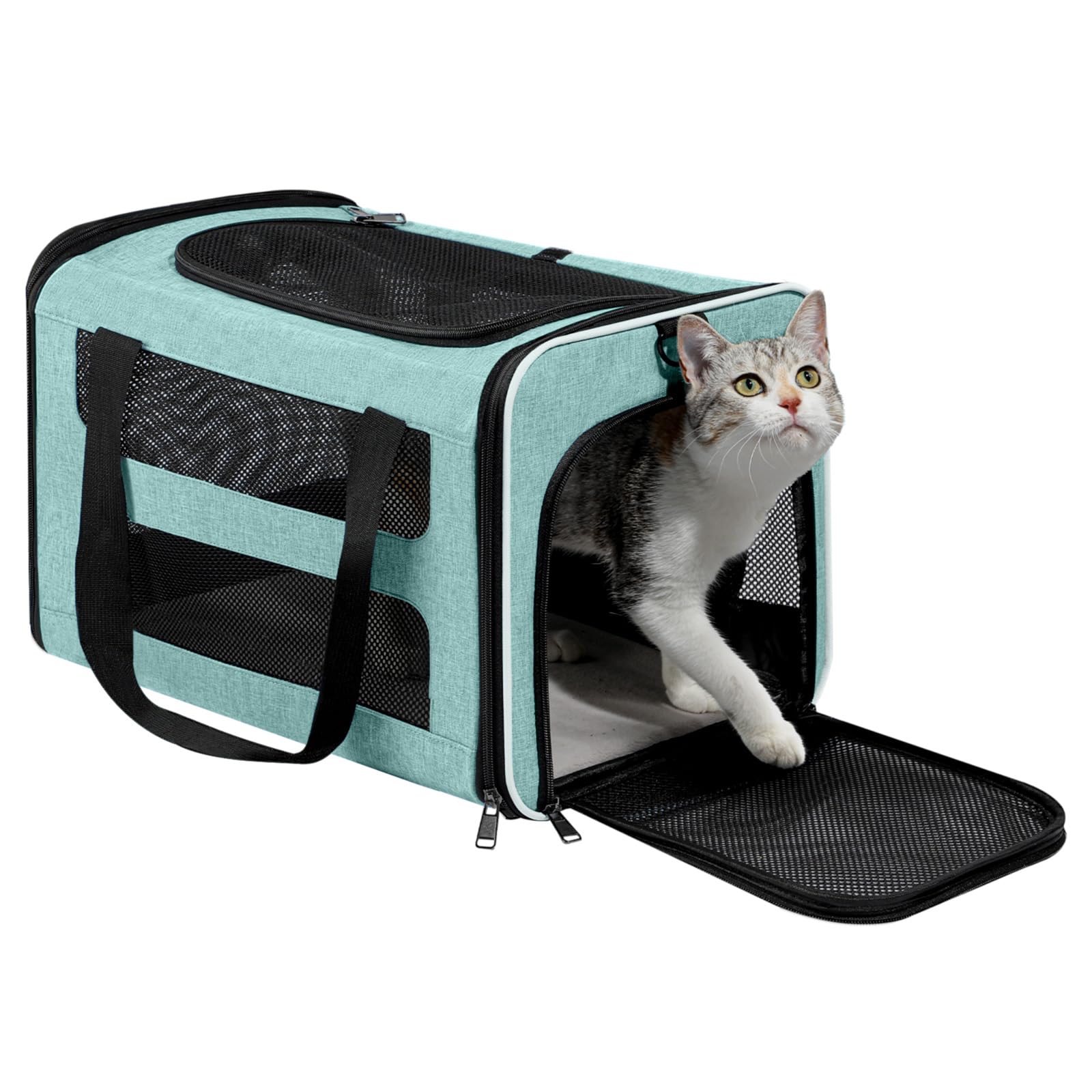 Transportín PAPZER para gatos medianos, espacio cómodo para moverse.