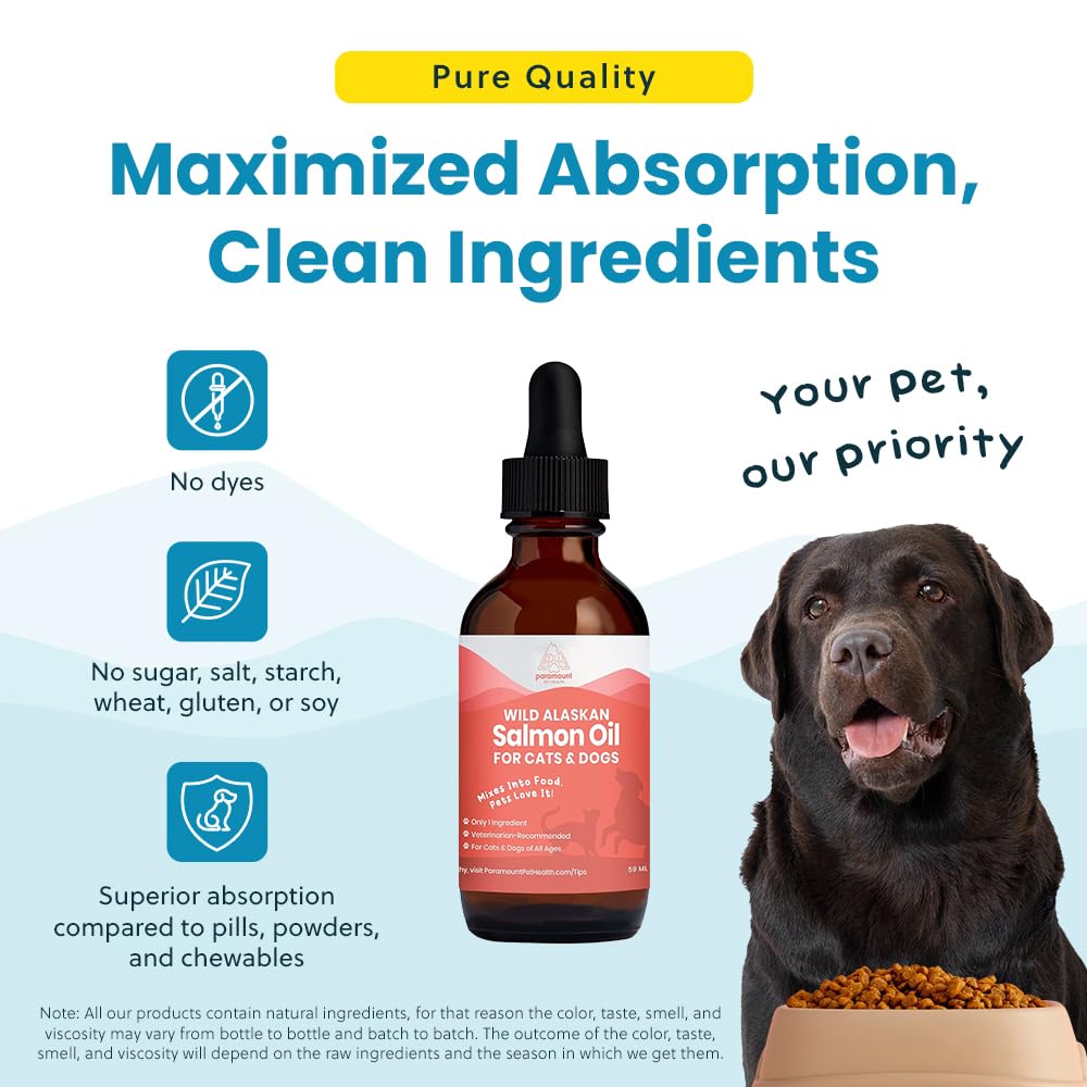 Gato con pelaje saludable gracias a Paramount Pet Health