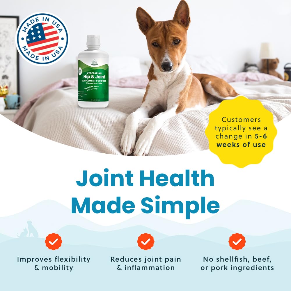 Paramount Pet Health vitamina C y omega para perros, bienestar general.