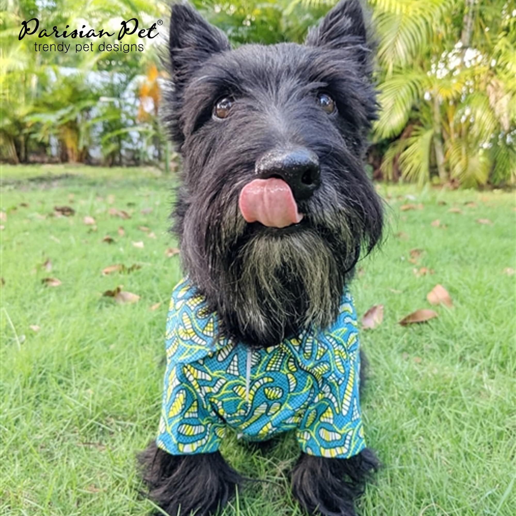 Parisian Pet ajuste-relajado camisa-perro, permite libertad de movimiento durante juego.