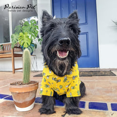 Camiseta Parisian Pet con ajuste relajado para libertad de movimiento.