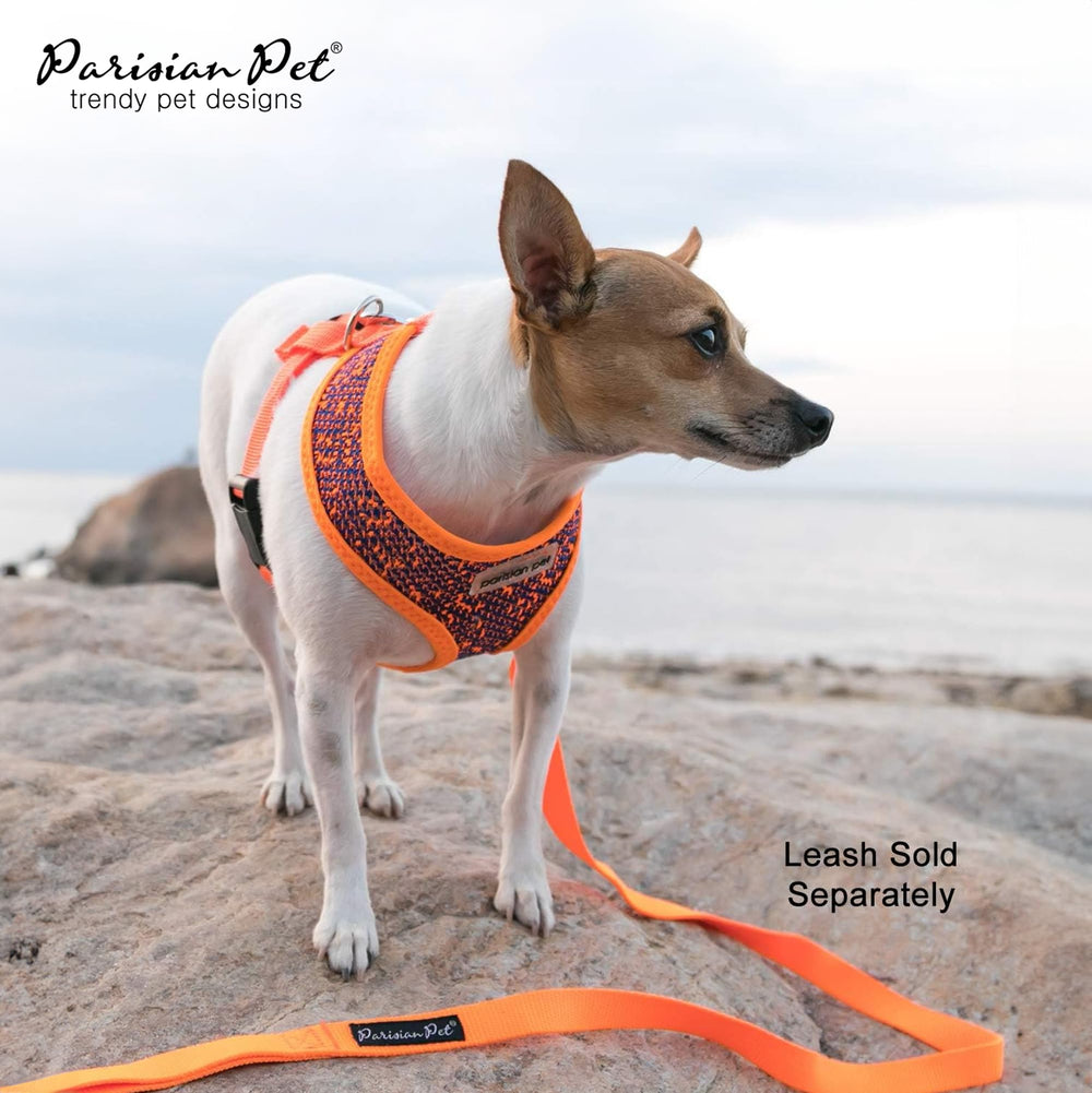 Parisian Pet cierre rapido para calzar al perro.