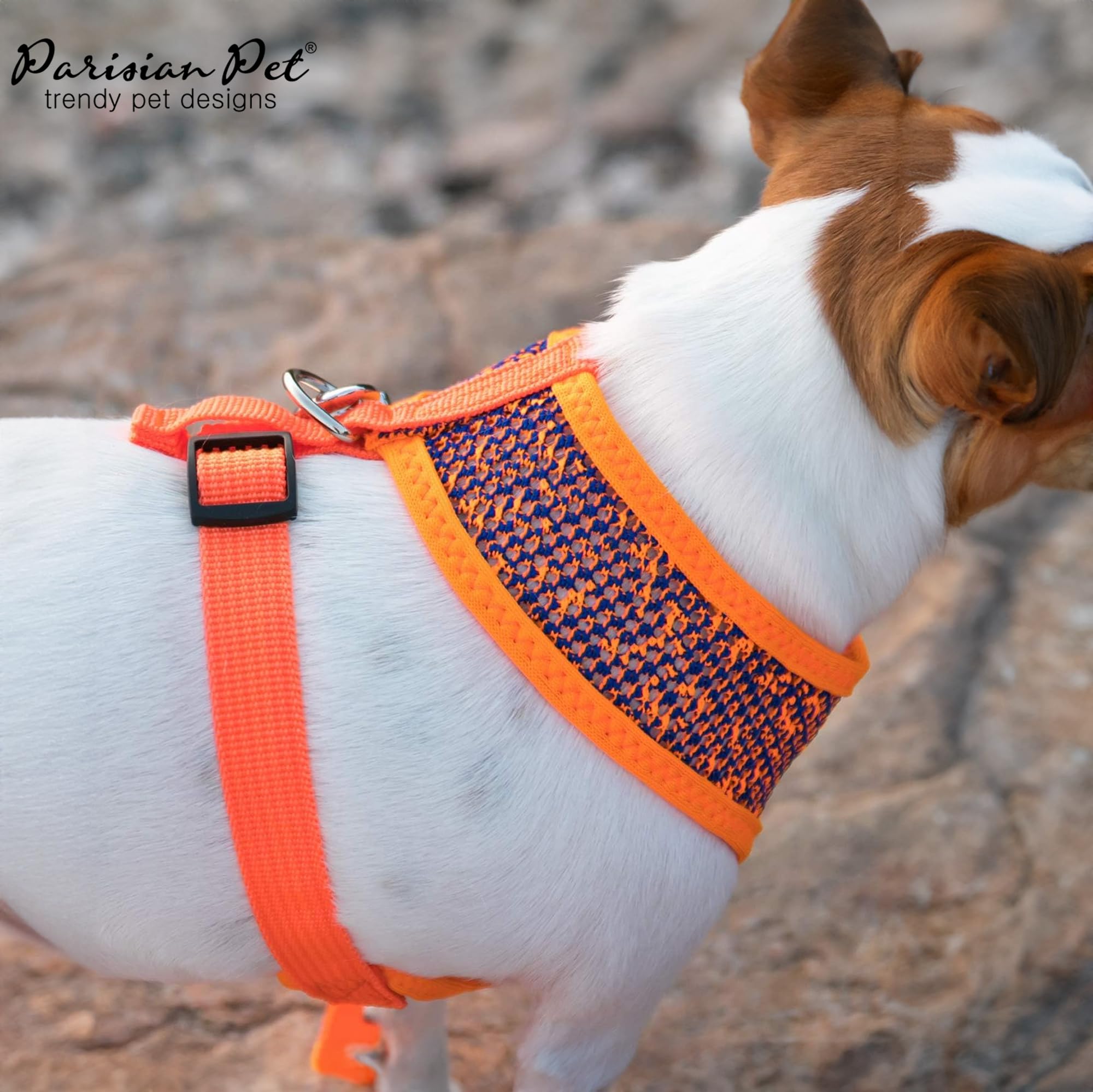 Parisian Pet diseño ligero ideal para perros grandes.