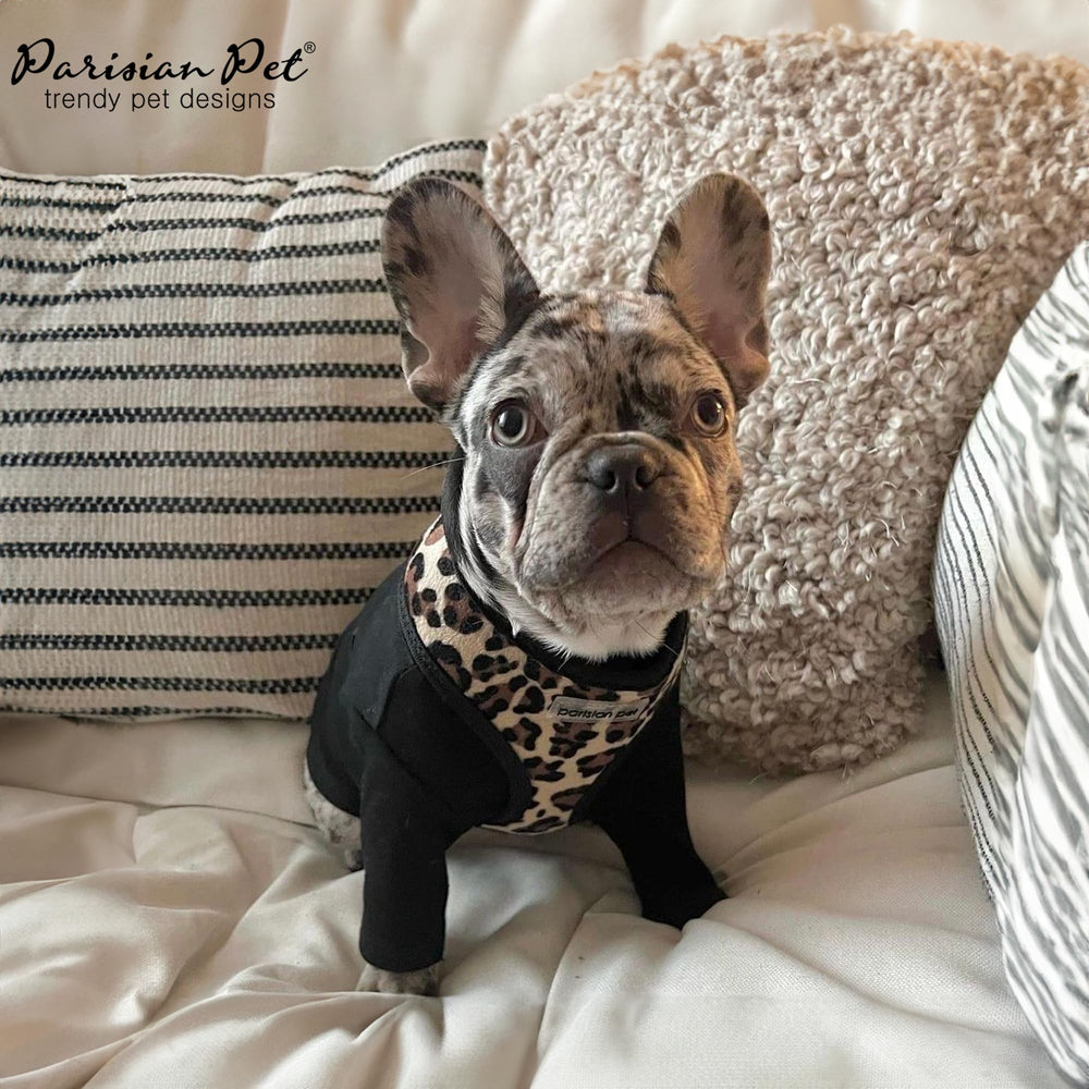 Parisian Pet arnés leopard diseño seguro para caminatas diarias.