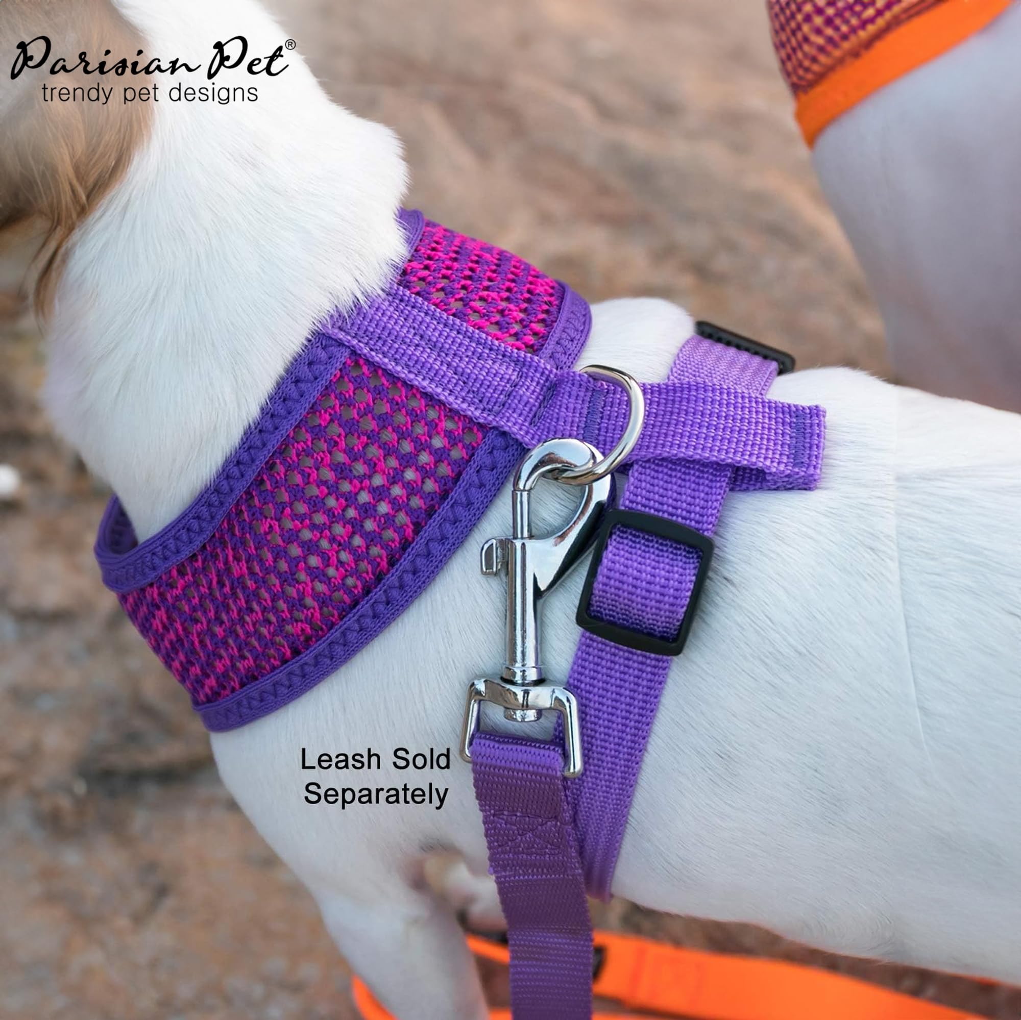 Arnés Parisian Pet ligero, ideal para caminatas y aventuras.