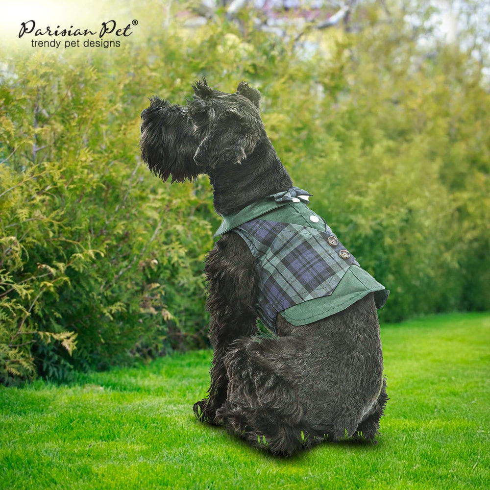 Parisian Pet conjunto para paseo en la playa, camisa fresca y cómoda.
