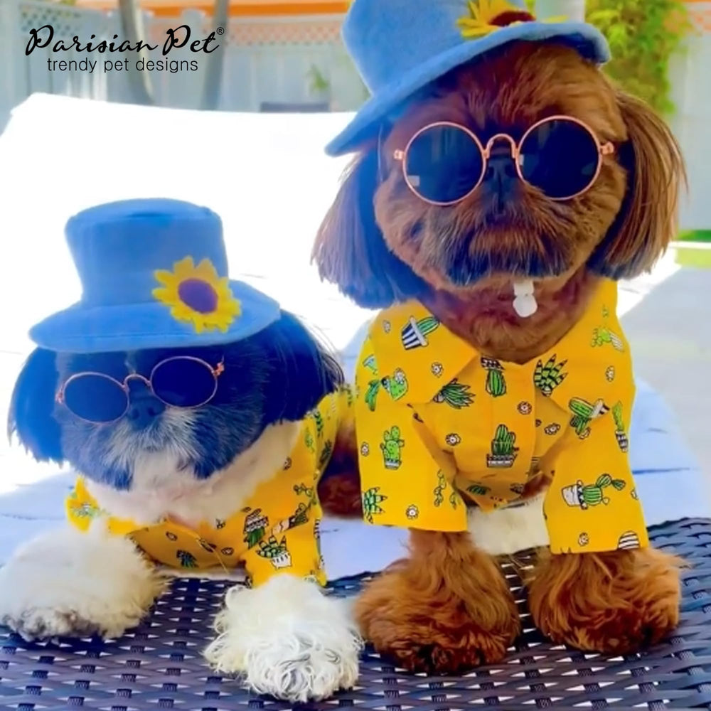 Ideal para playa y salidas al aire libre con Parisian Pet.