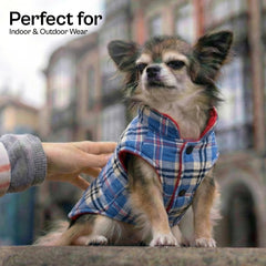 Parisian Pet chaqueta de invierno para perro, protección contra viento en caminatas ventosas.