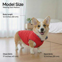 Chaqueta de Parisian Pet para perro, protección contra viento para paseos.