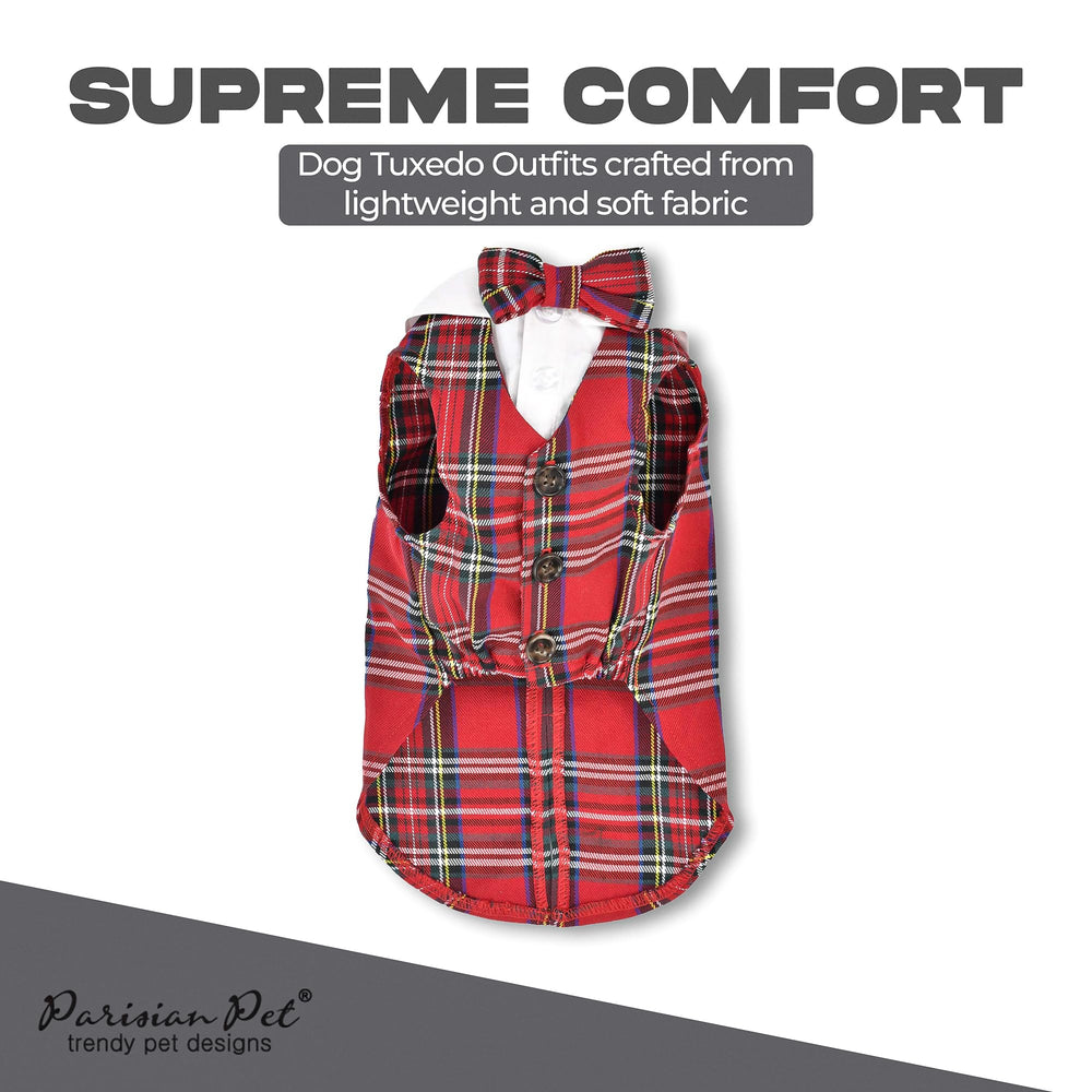 Detalle de moño y collar de Parisian Pet, añade elegancia al atuendo.