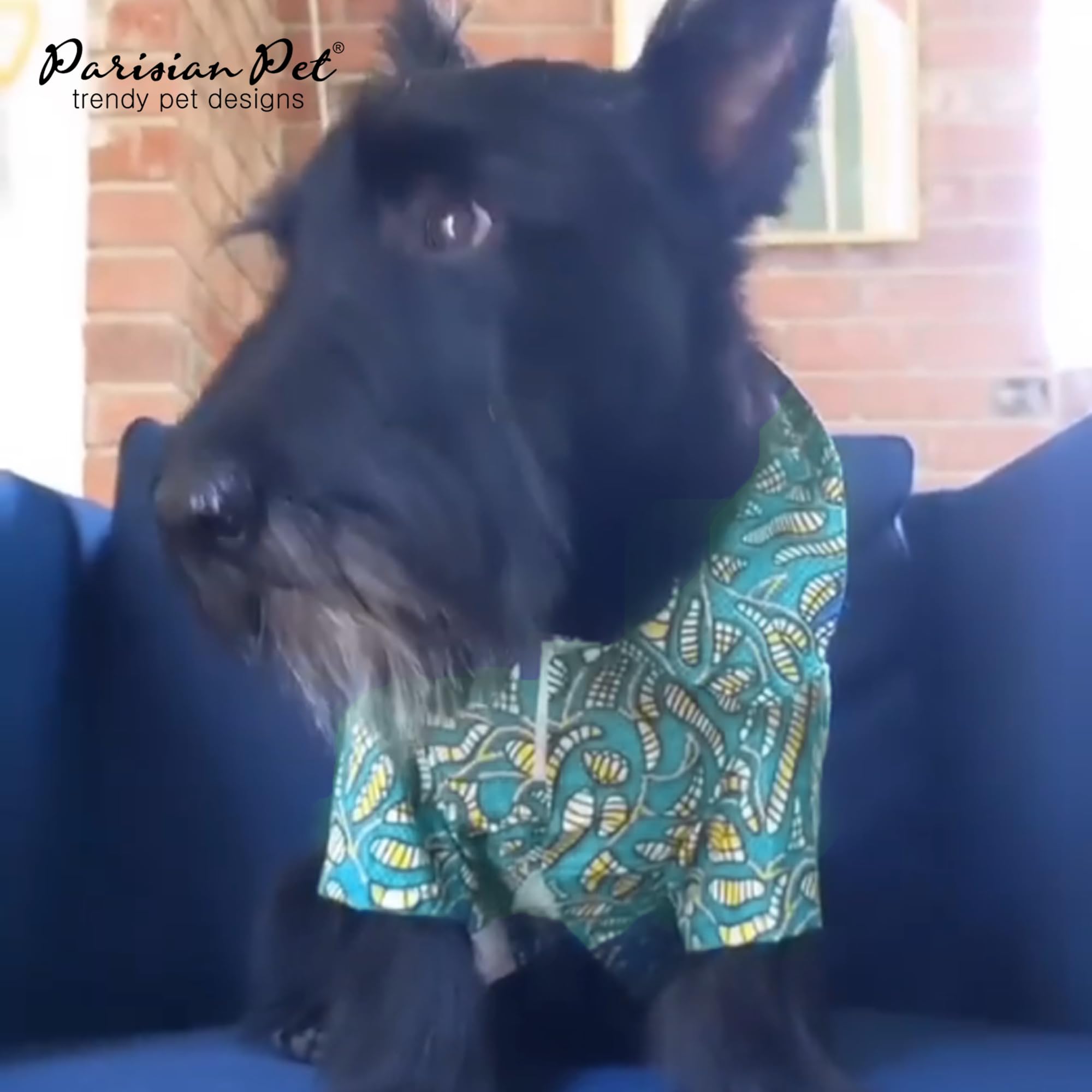 Parisian Pet look-verano camisa-perro, perfecta para playa y paseos al aire libre.