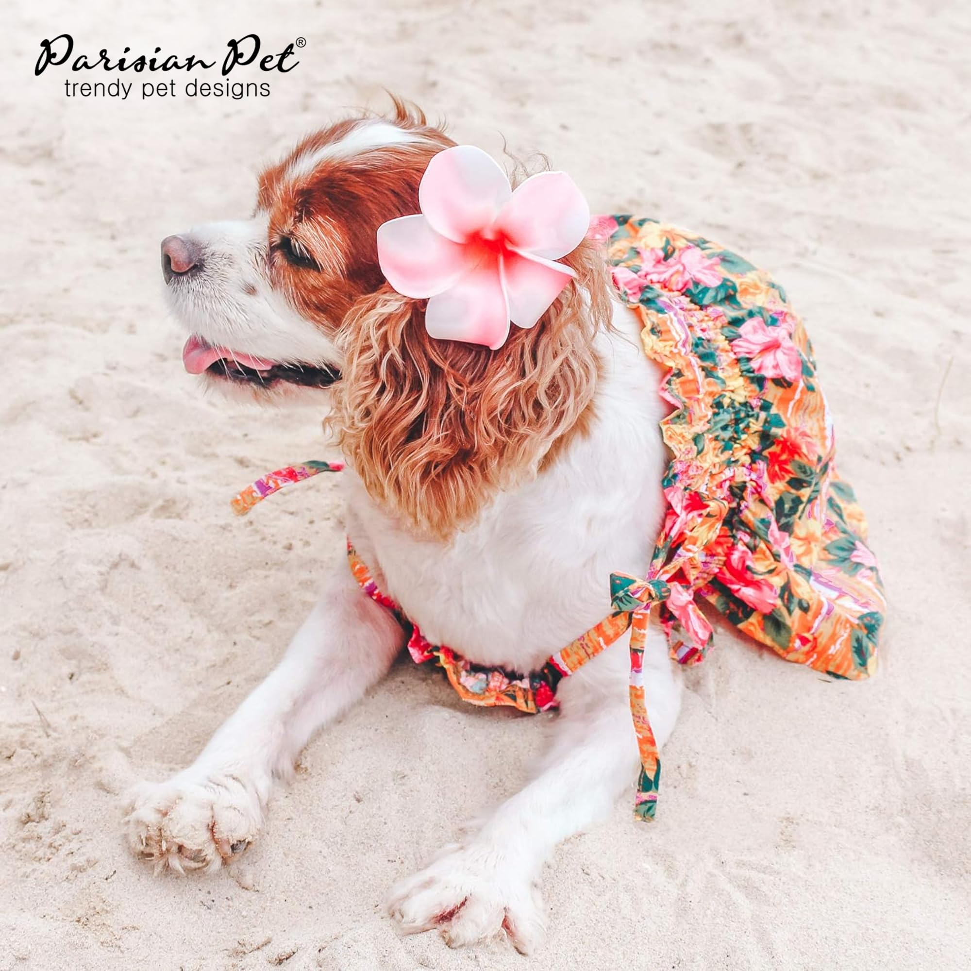 Falda fluida de Parisian Pet suma estilo sin restringir movimiento.