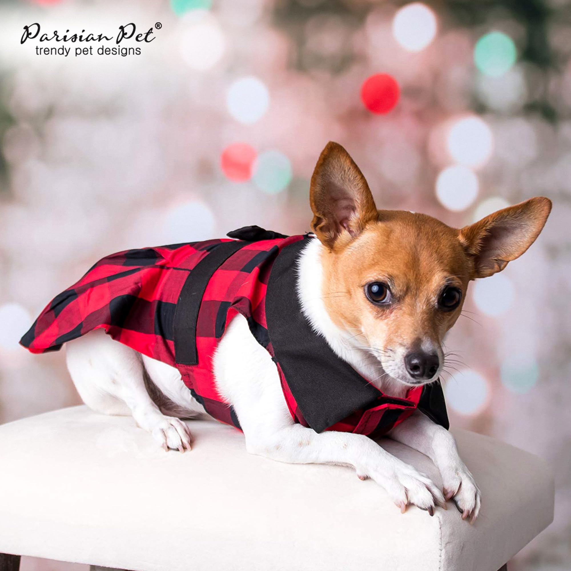 Tallas S a 2XL en Parisian Pet para perros grandes.