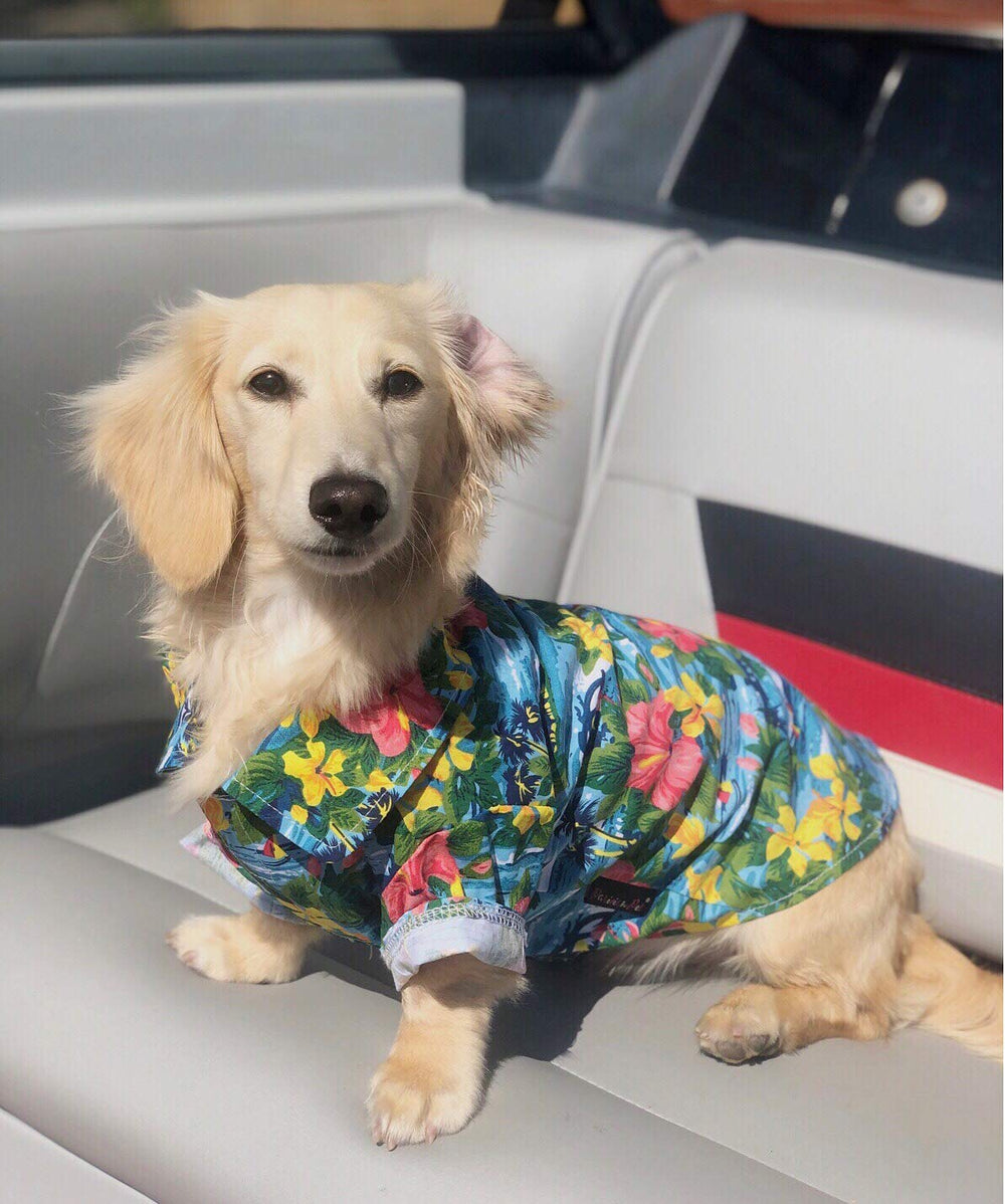 Parisian Pet: prenda para uso diario y playa, cómoda en días cálidos.