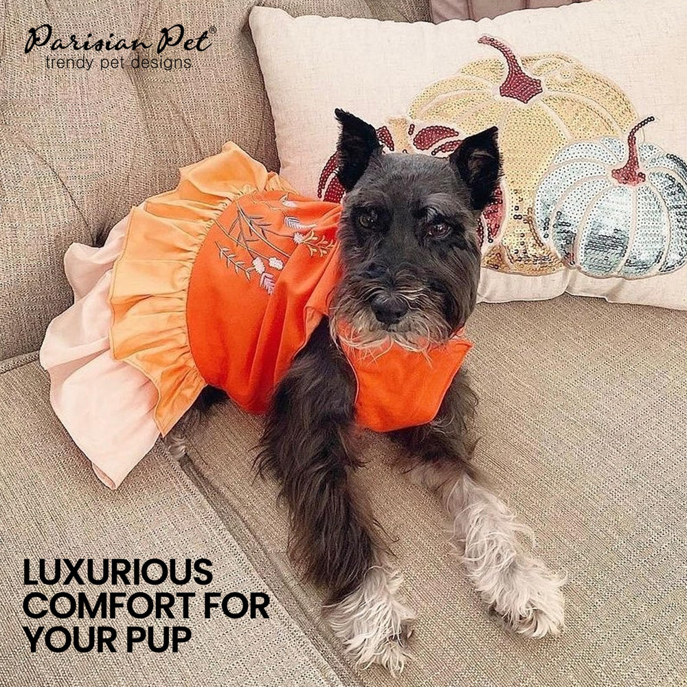 Corte suave de Parisian Pet que permite movimiento natural.