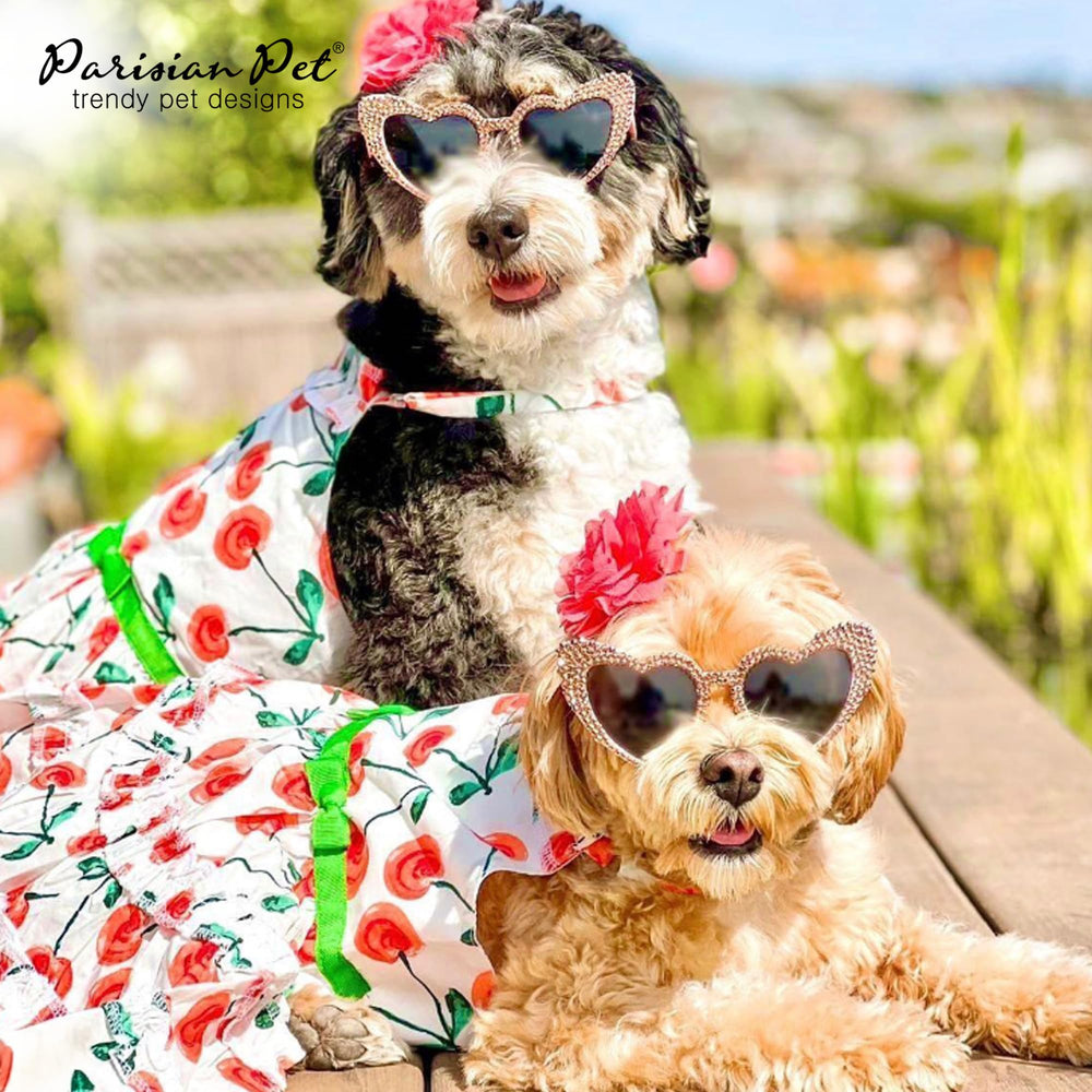 Cierre de velcro y escote halter en el vestido de Parisian Pet, vestir sin esfuerzo.