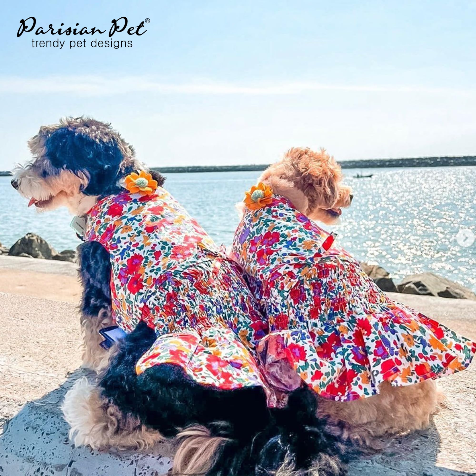 Vestido Parisian Pet disponible en tallas XS a 3XL para diferentes tamaños.