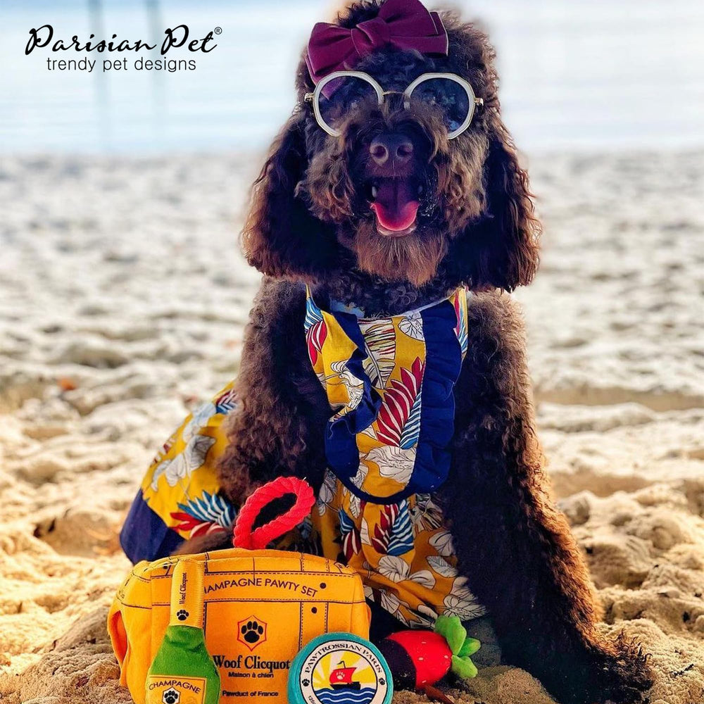 Vestido Parisian Pet para playa y salidas al aire libre; aspecto llamativo.