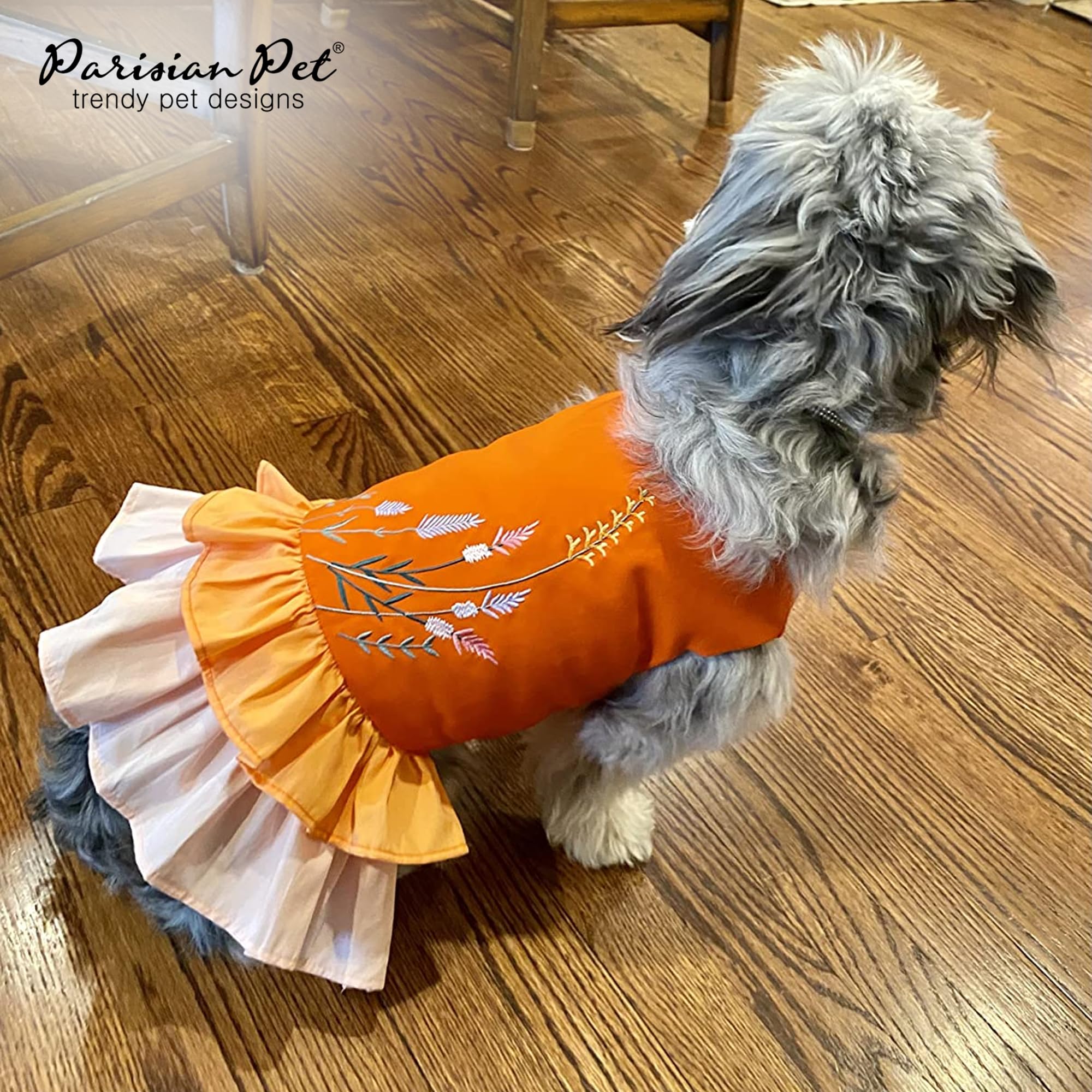 Disponible en tallas XS a 3XL para perros grandes y variados.