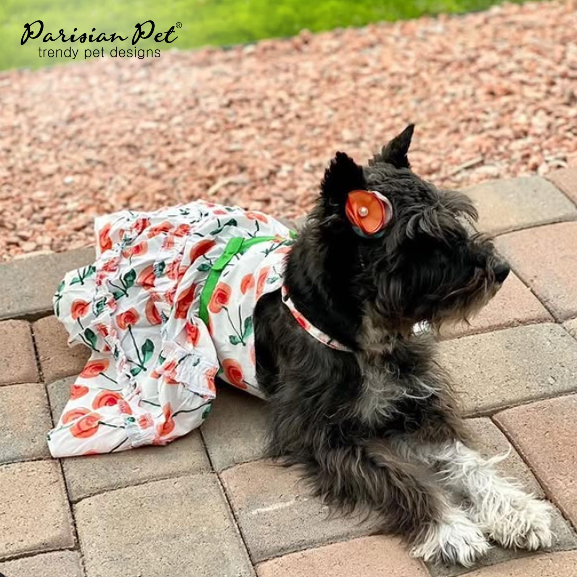 Rango de tallas XS a 3XL de Parisian Pet, ajuste inclusivo.