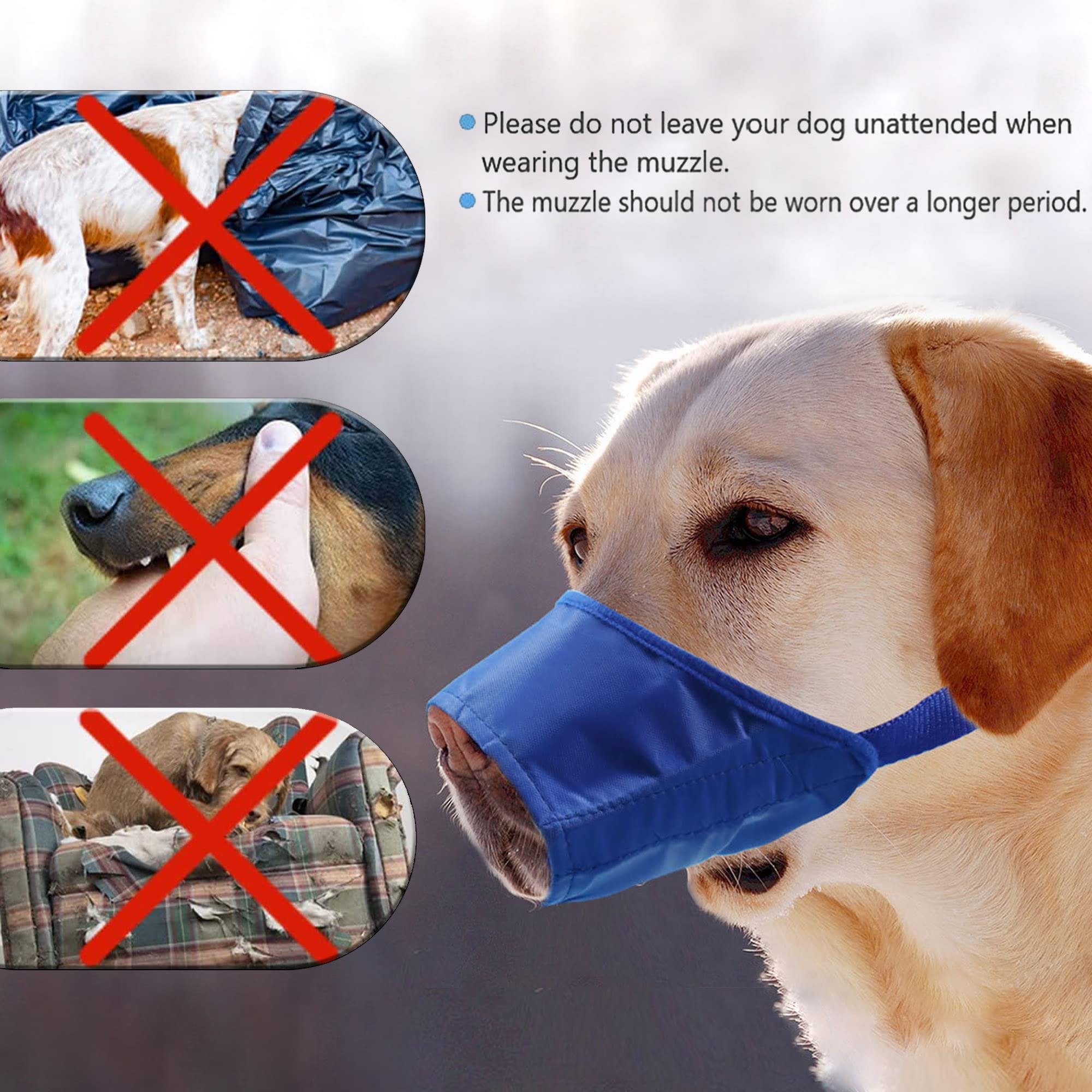 Bozal azul de talla S para perros pequeños y medianos.