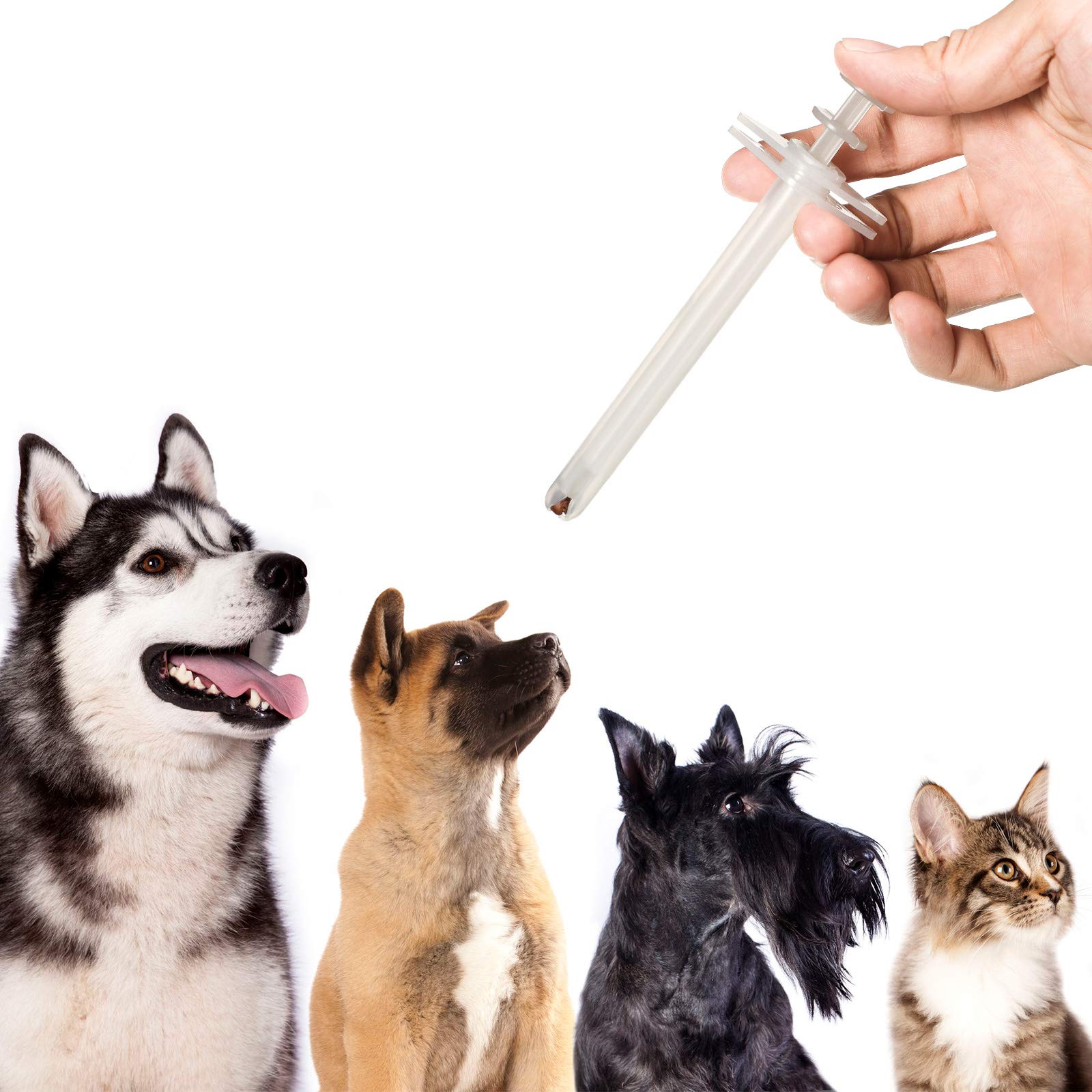 Patelai dispensador pastillas para gatos y perros, uso seguro y cómodo para medicación.