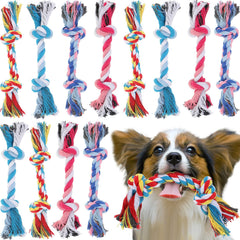 Paterr juguete cuerda para perros, 12 piezas, masticable