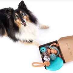 Patitas Caja Cumpleaños y Diversión: peluche chirriante para juego interactivo