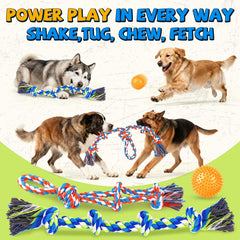 PatsFran Bola chillona interactiva para juego y seguimiento