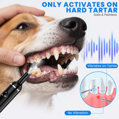 PATWING kit de limpieza dental para mascotas con cabezales intercambiables