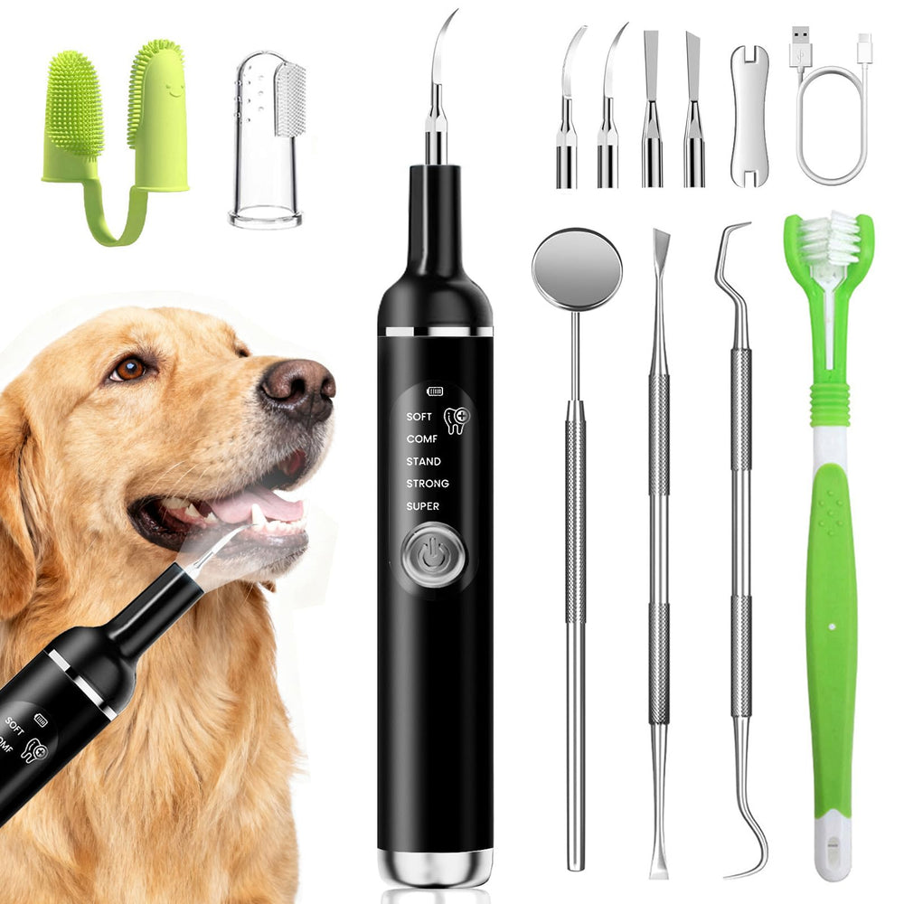 PATWING removedor de placa dental con luz integrada para perros y gatos, limpieza precisa