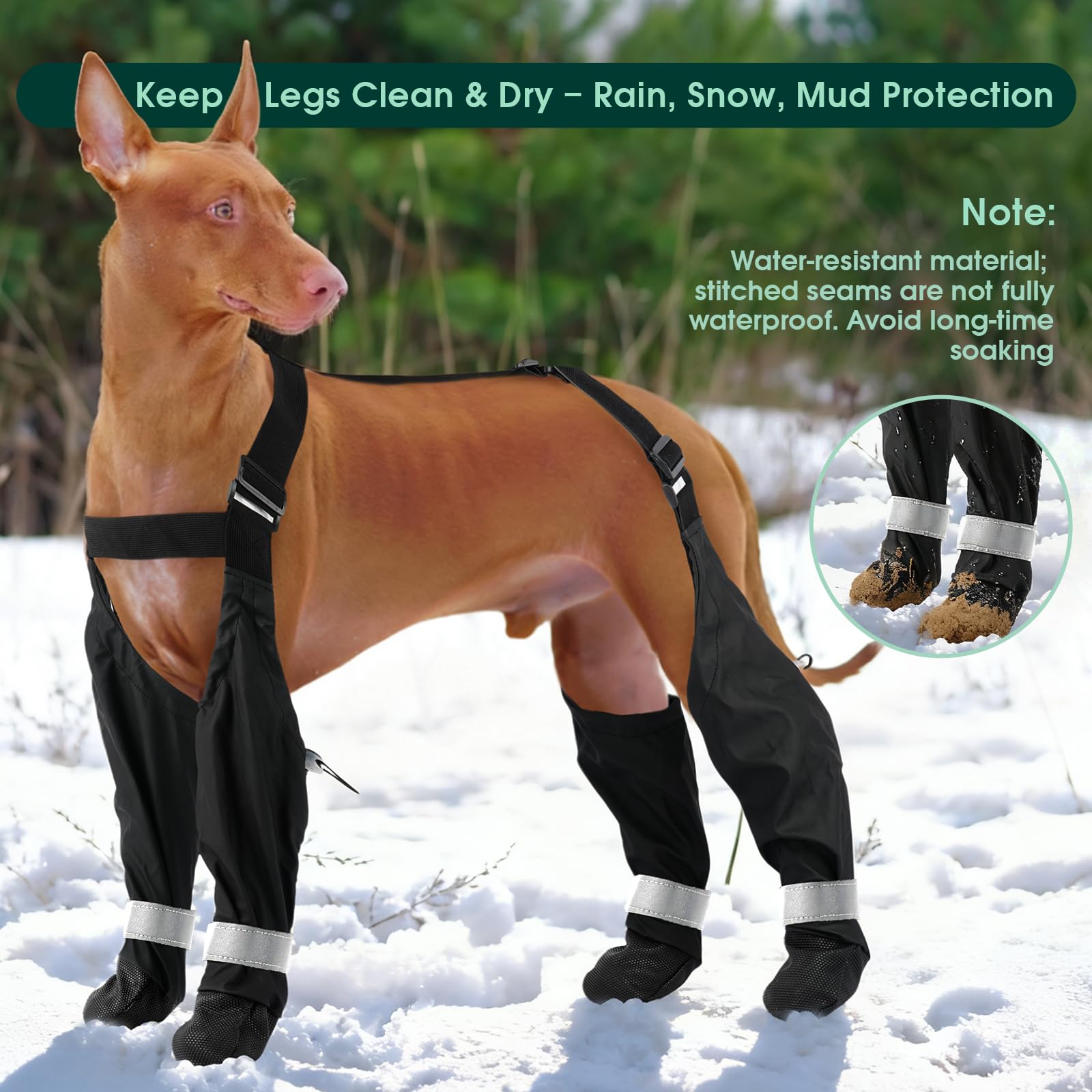 PAWsay botas con ajuste elástico, sujeción estable sin pellizcos.