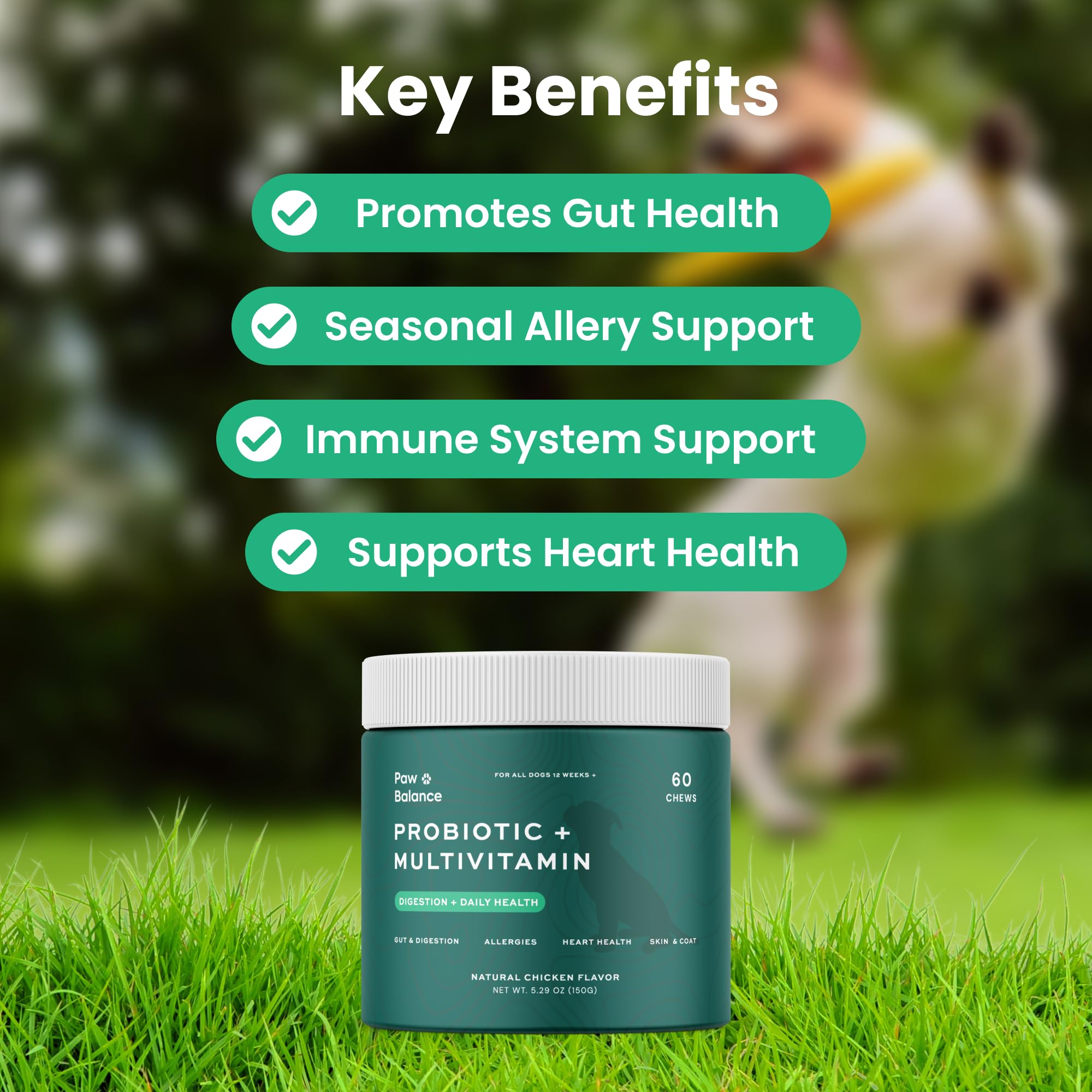 Paw Balance gomitas multivitamínicas para perro, energía y piel sana