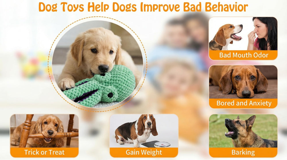 Paw-FECT Piece tamaño versátil para perros pequeños, medianos y grandes.