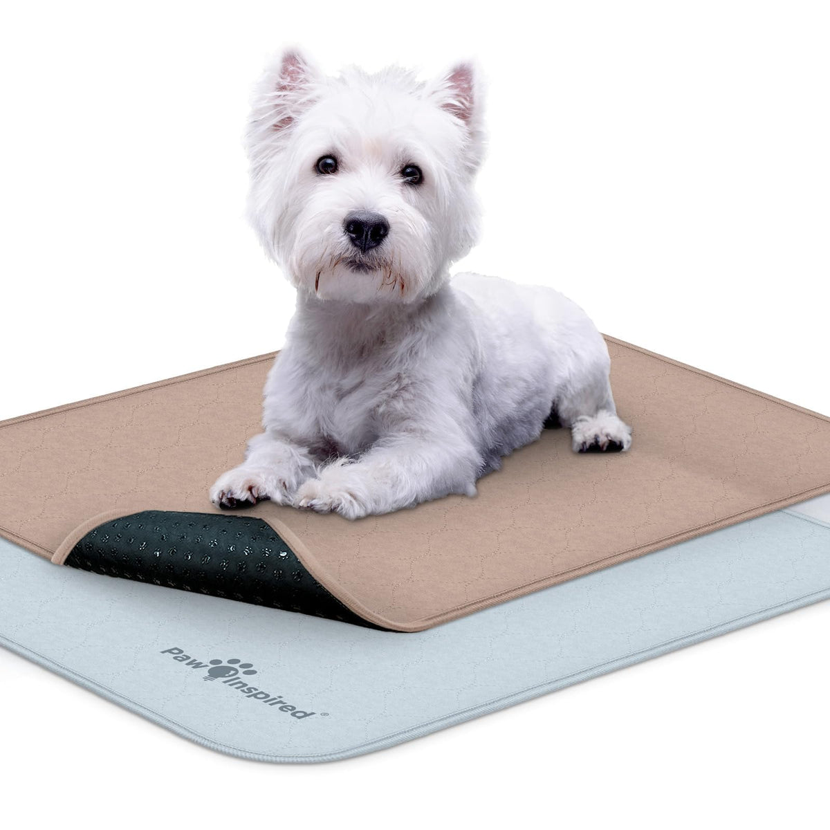 Paw Inspired: almohadilla lavable para jaula de perros 24x18, protege cama y jaula.