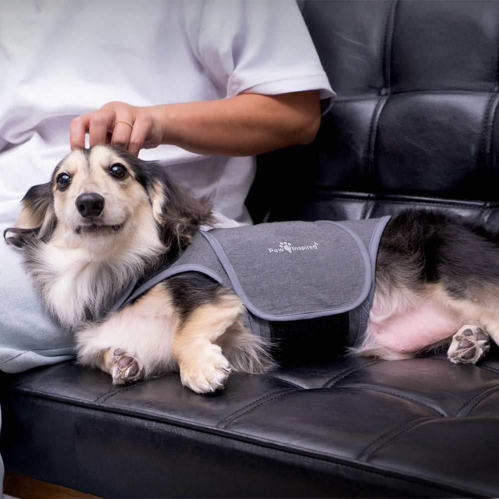Paw Inspired lavable a máquina, fácil de limpiar.