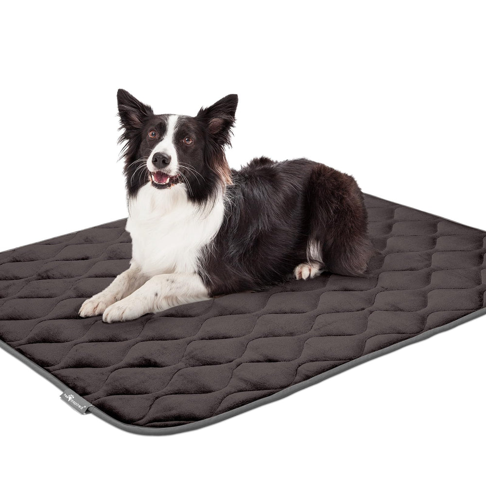 Paw Inspired funda jaula resistente gris: seguridad antideslizante para sesiones de descanso.