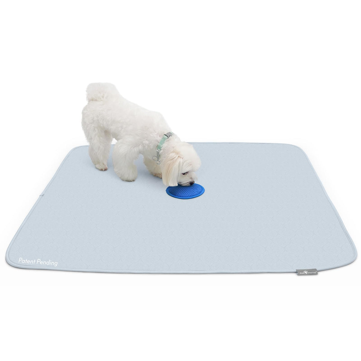 Paw Inspired Speed Spot muestra el parche olor para reforzar entrenamiento.