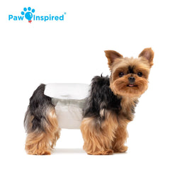 Paw Inspired, tecnologia DrySpeed transforma orina en gel para mayor control.