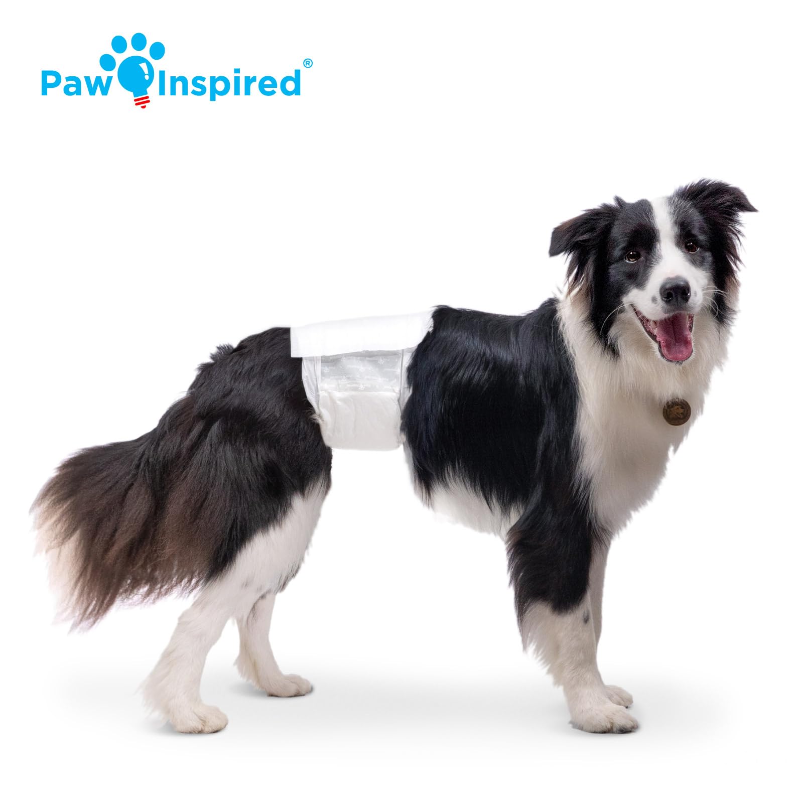 Paw Inspired tecnologia DrySpeed transforma orina en gel para secado rapido.