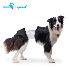 Paw Inspired tecnologia DrySpeed transforma orina en gel para secado rapido.