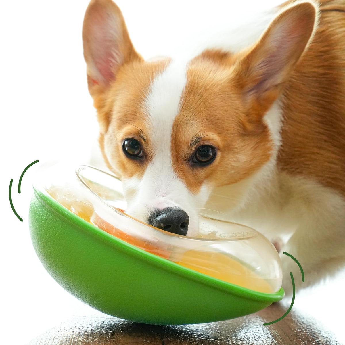 PAW QUEST Avocado, vista frontal, juguete para perro que evita derrames al dispensar premios
