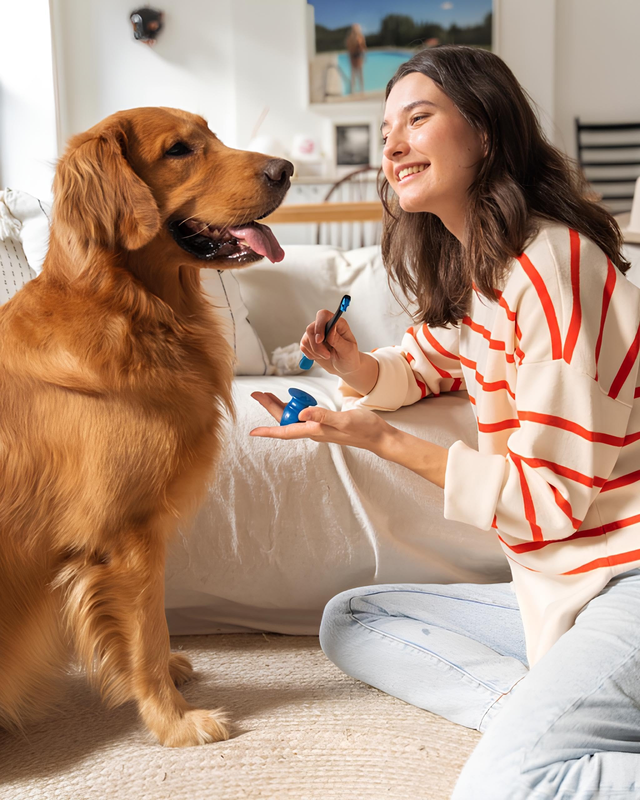 Paw Ready rutina diaria de cuidado oral facilita hábitos saludables para perros y gatos.