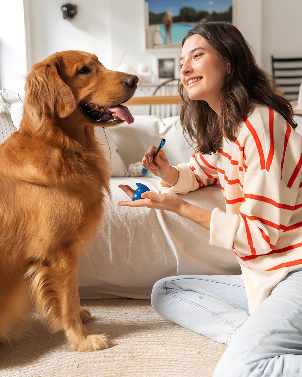 Paw Ready rutina diaria de cuidado oral facilita hábitos saludables para perros y gatos.