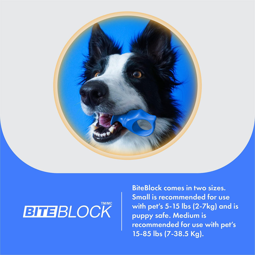 Paw Ready uso diario para perros y gatos diseño práctico para la higiene bucal.