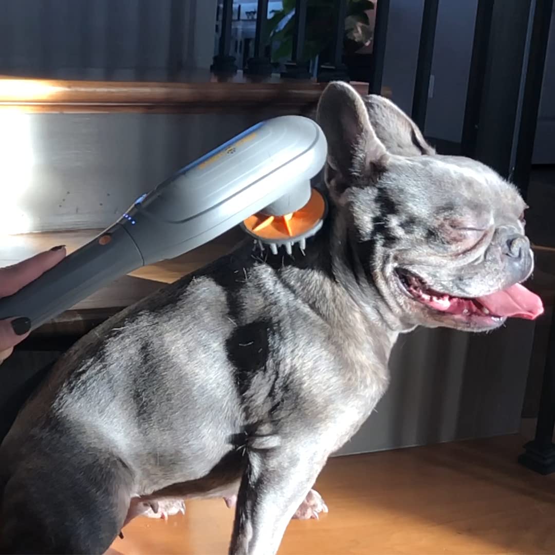 PAW WAVE PERK: diseño-calibrado seguro para mascotas