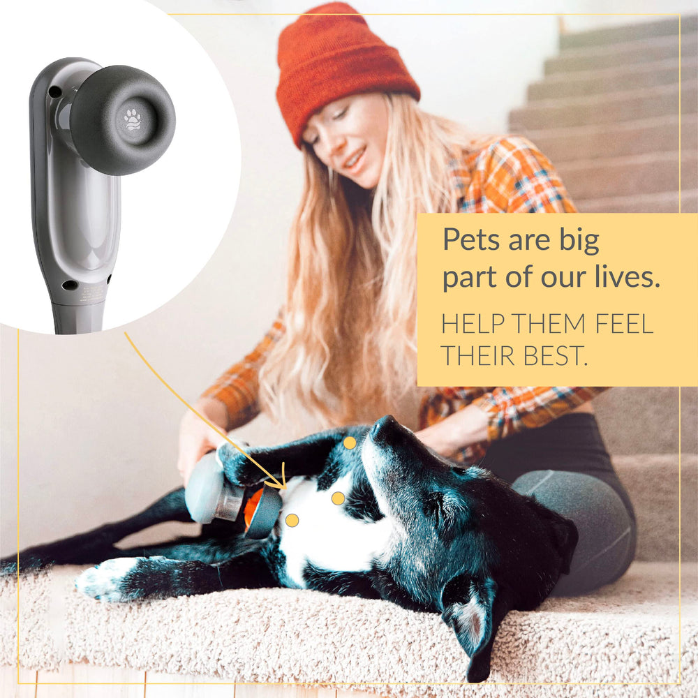 PAW WAVE PERK: masaje-gato-relajacion para serenidad felina